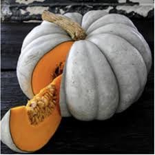 Zapallo plomo es el que se utiliza en el locro o en  caldos