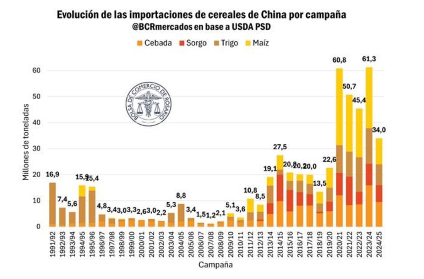 Si bien a partir del 2010 las importaciones de cereales comenzaron a acelerarse, a lo largo de esa década los volúmenes de maíz y trigo fueron modestos en comparación con los observado en los últimos años