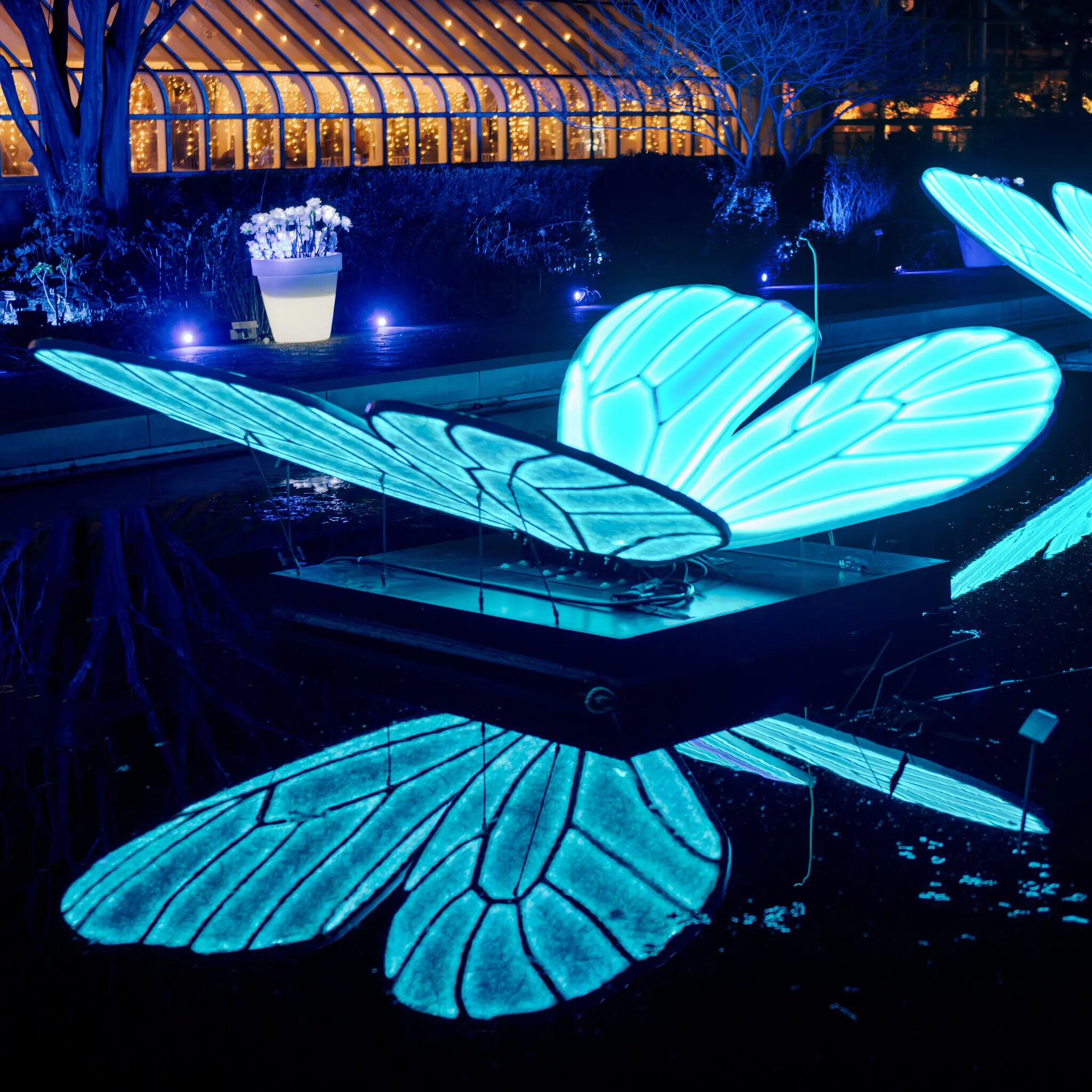 Las entradas programadas dan el espacio necesario para lograr la mejor pose