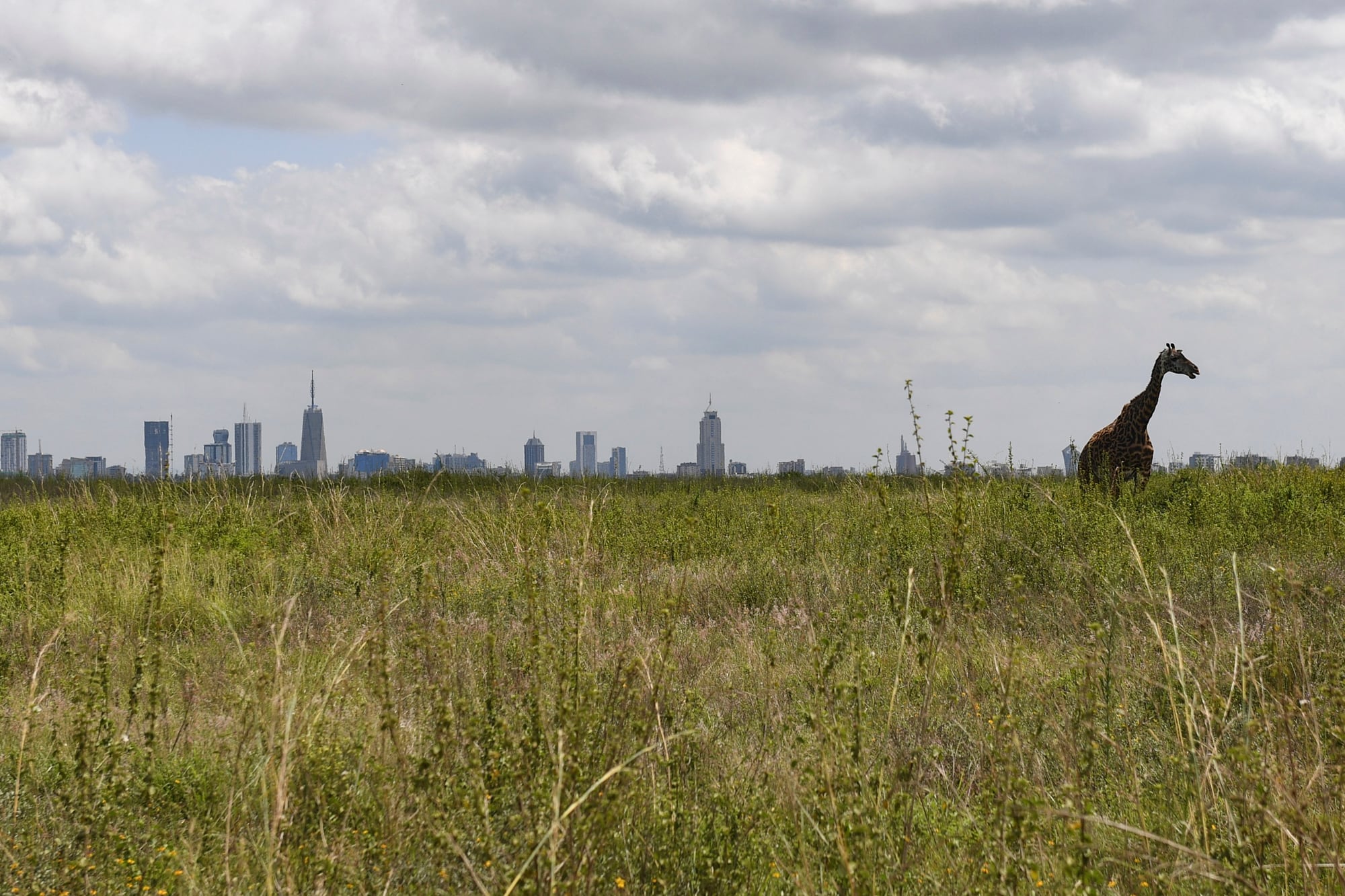 Los argentinos que emprenden en el país más importante del este de África