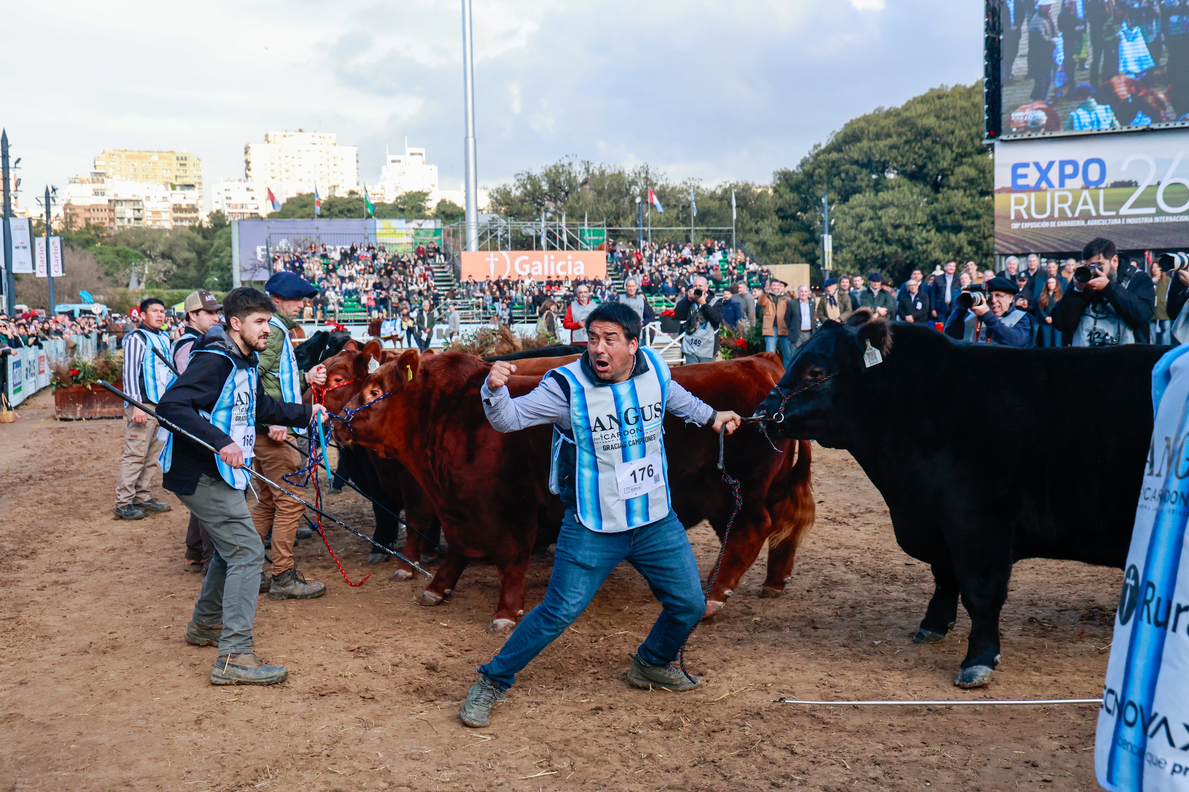 “Un gran padre”: Rip, el toro Angus inspirado en la serie Yellowstone, fue elegido Gran Campeón Macho en Palermo La consagración fue celebrada con emoción por el equipo de la cabaña ganadora, que se abrazó alrededor del reproductor apenas finalizó la jura