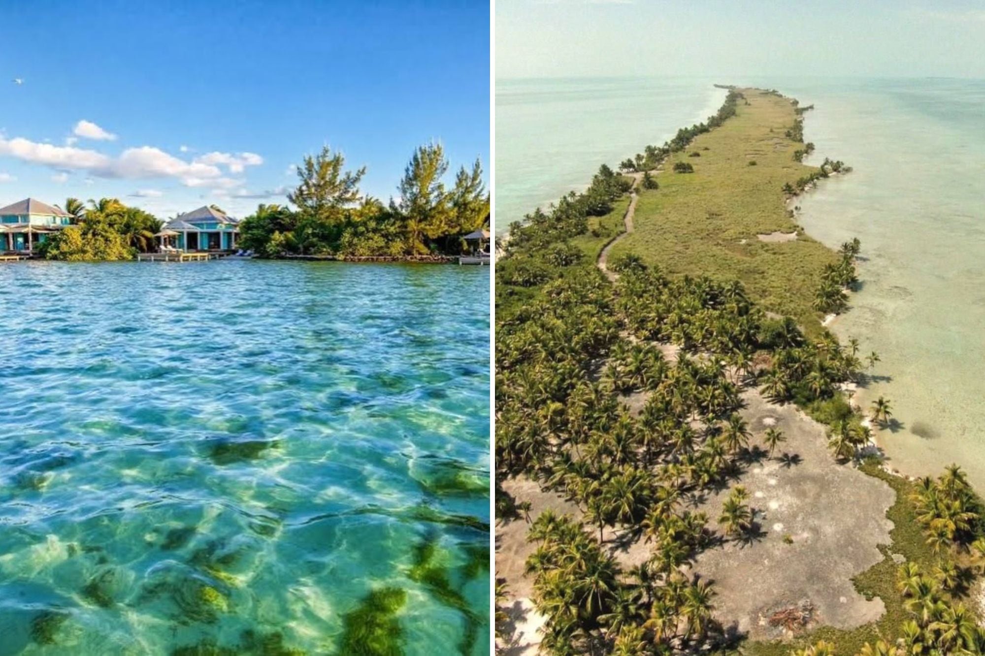 Leonardo DiCaprio compró Blackadore Caye con el objetivo de realizar una restauración integral del ecosistema local