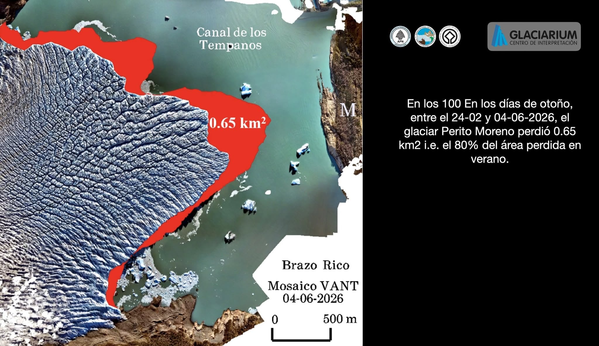 Entre el 24-02 y el 04-06 el glaciar Perito Moreno perdió 0,65 km2, el 80% del área perdida en verano., PNLG, Santa Cruz