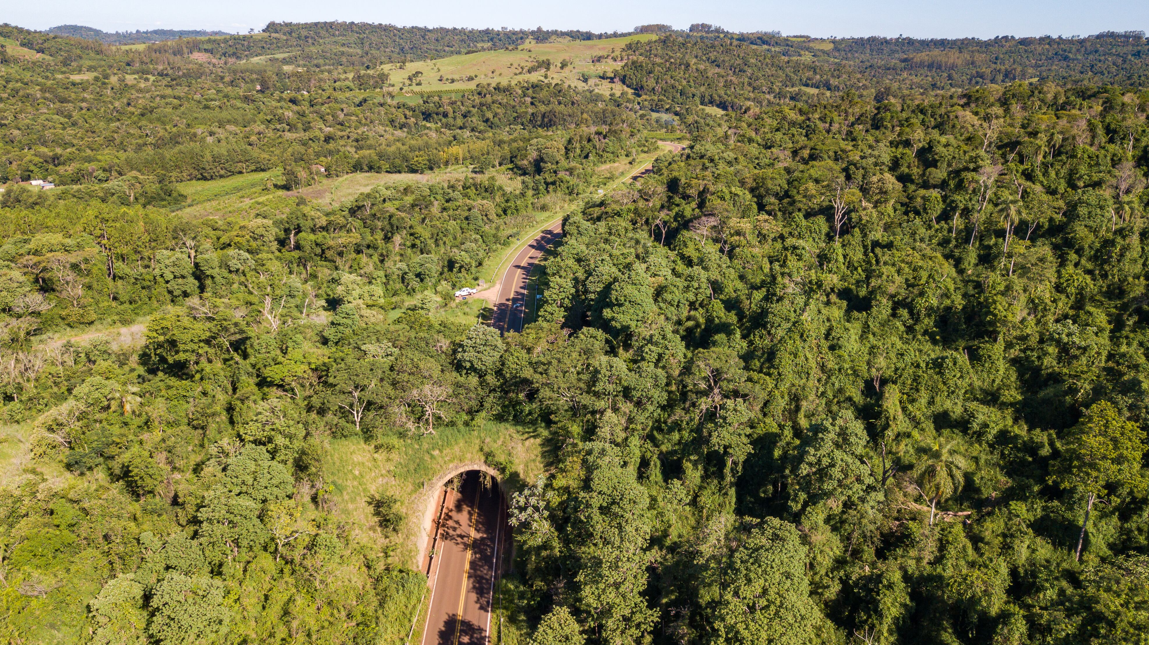 Un ejemplo destacable es el ecoducto dentro del corredor biológico Urogallo-í-Foerster sobre la Ruta 101 en Misiones, pionero en la región latinoamericana.