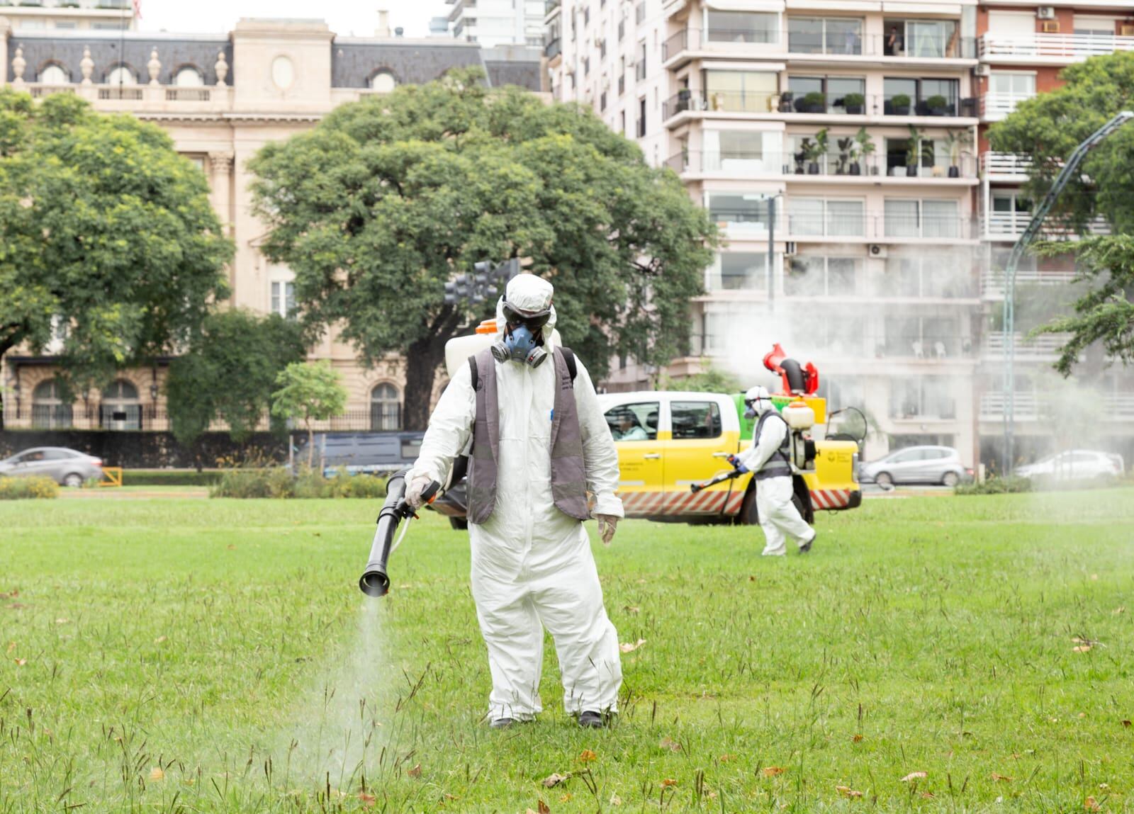 Alerta dengue: subirá la temperatura, ¿volverán los mosquitos?