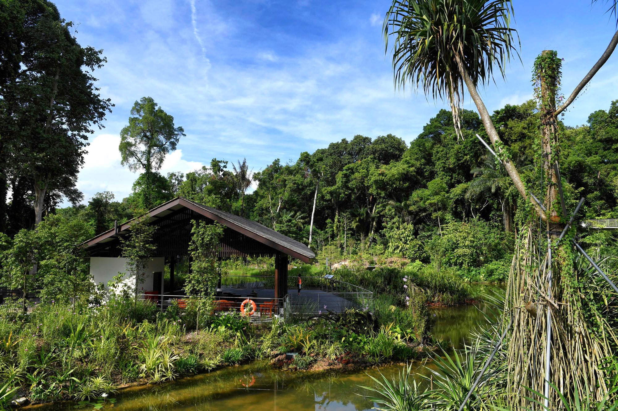 En el Learning Forest se conservan y reconstruyen hábitats completos y reúne más de 700 especies vegetales