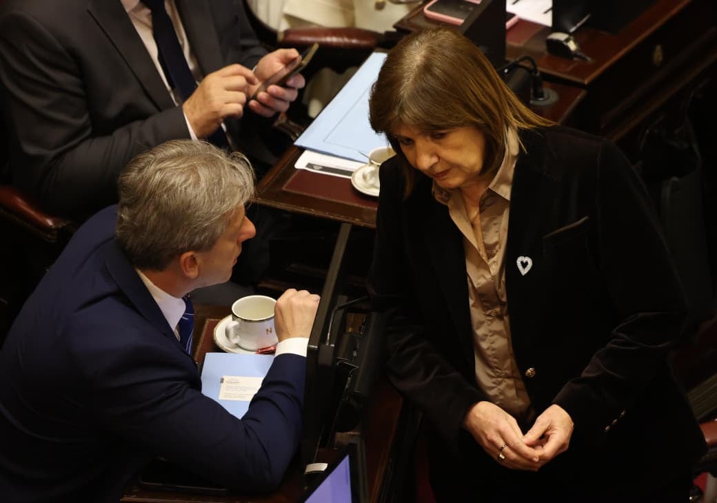 Sesión en el Senado.
Vischi y Bullrich
