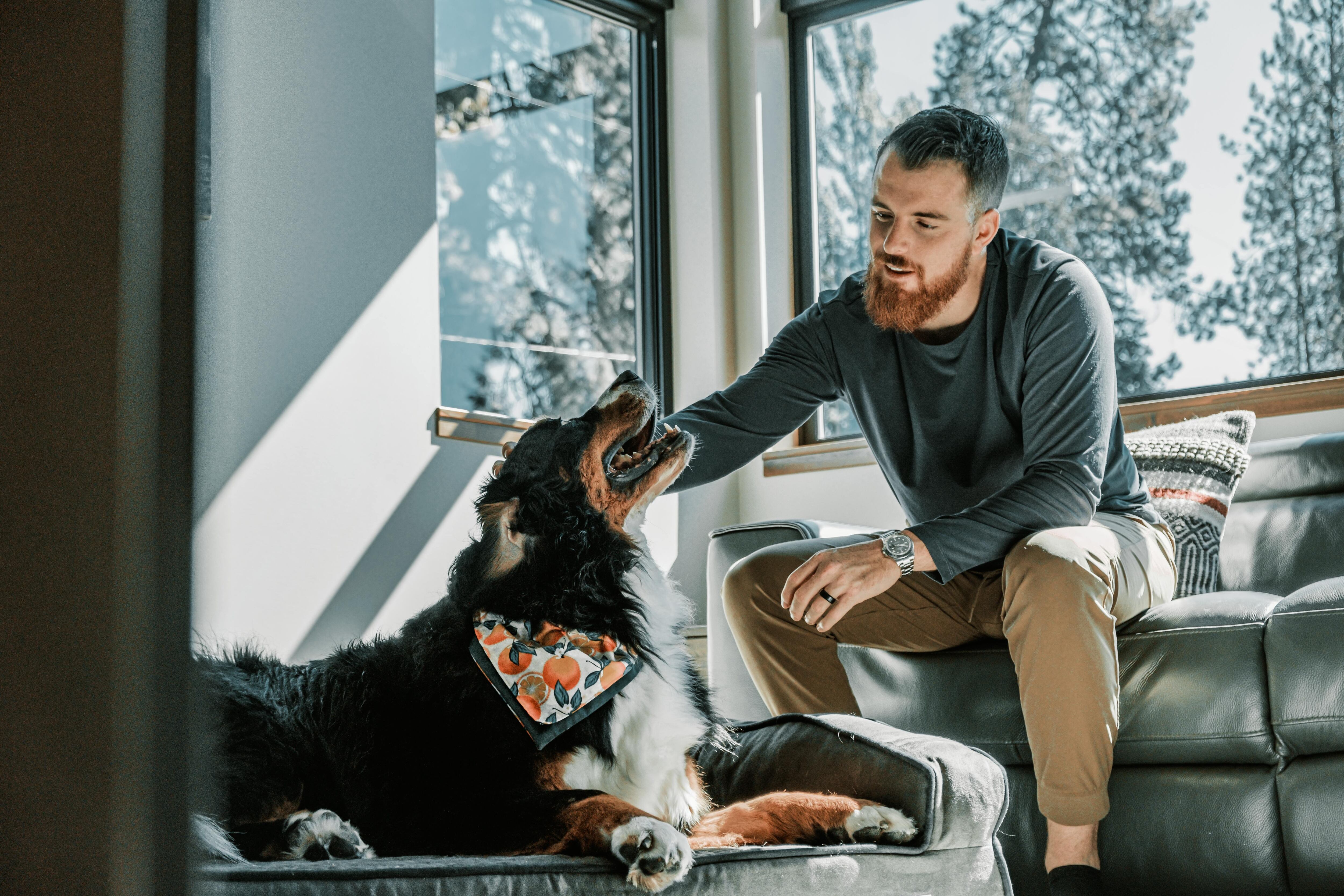 Los perros son de vital compañía para los seres humanos