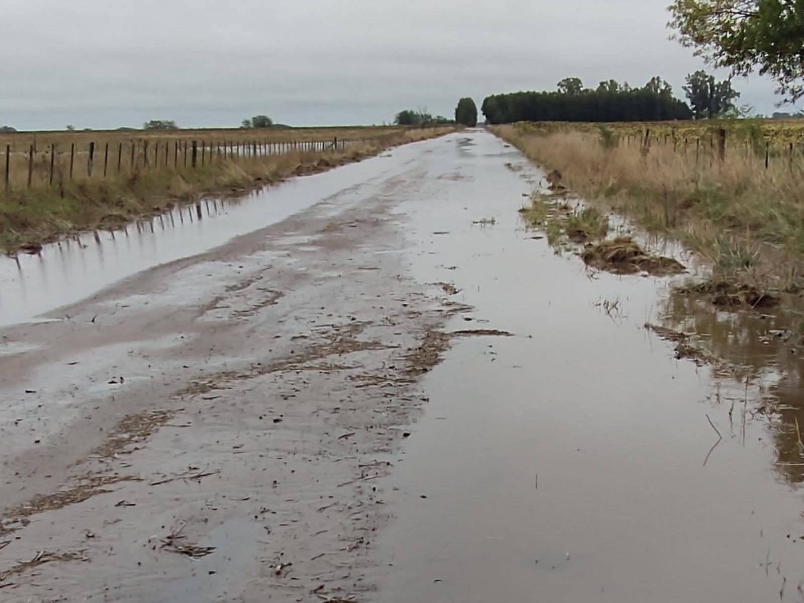 “Está todo saturado”: las lluvias frenaron la cosecha y hay preocupación en un momento clave