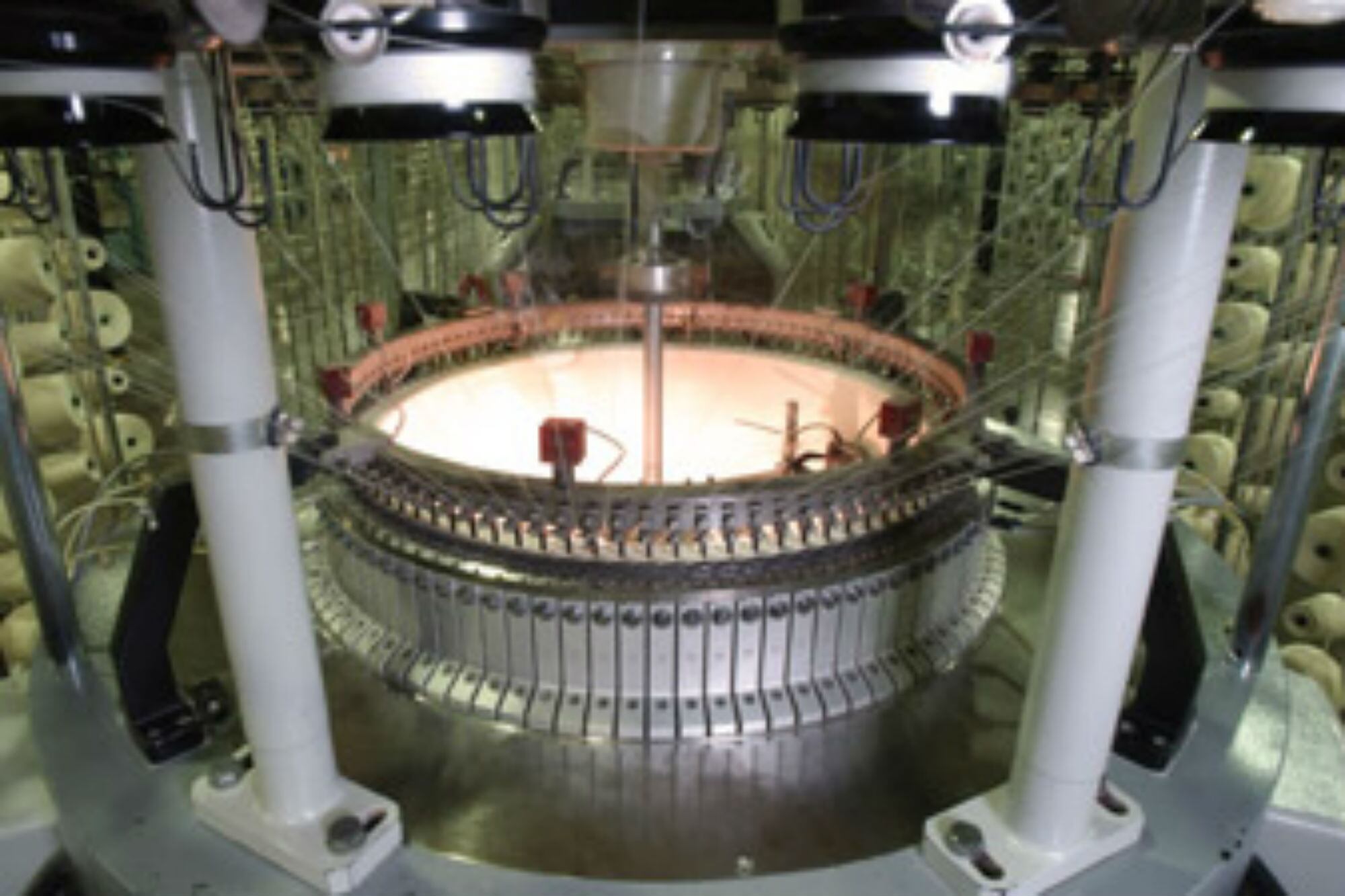 La empresa es referente en la producción nacional