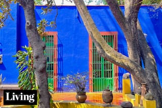Te llevamos a recorrer la mágica casa de Frida Kahlo en Coyoacán, que inspiró algunas de sus más grandes obras.