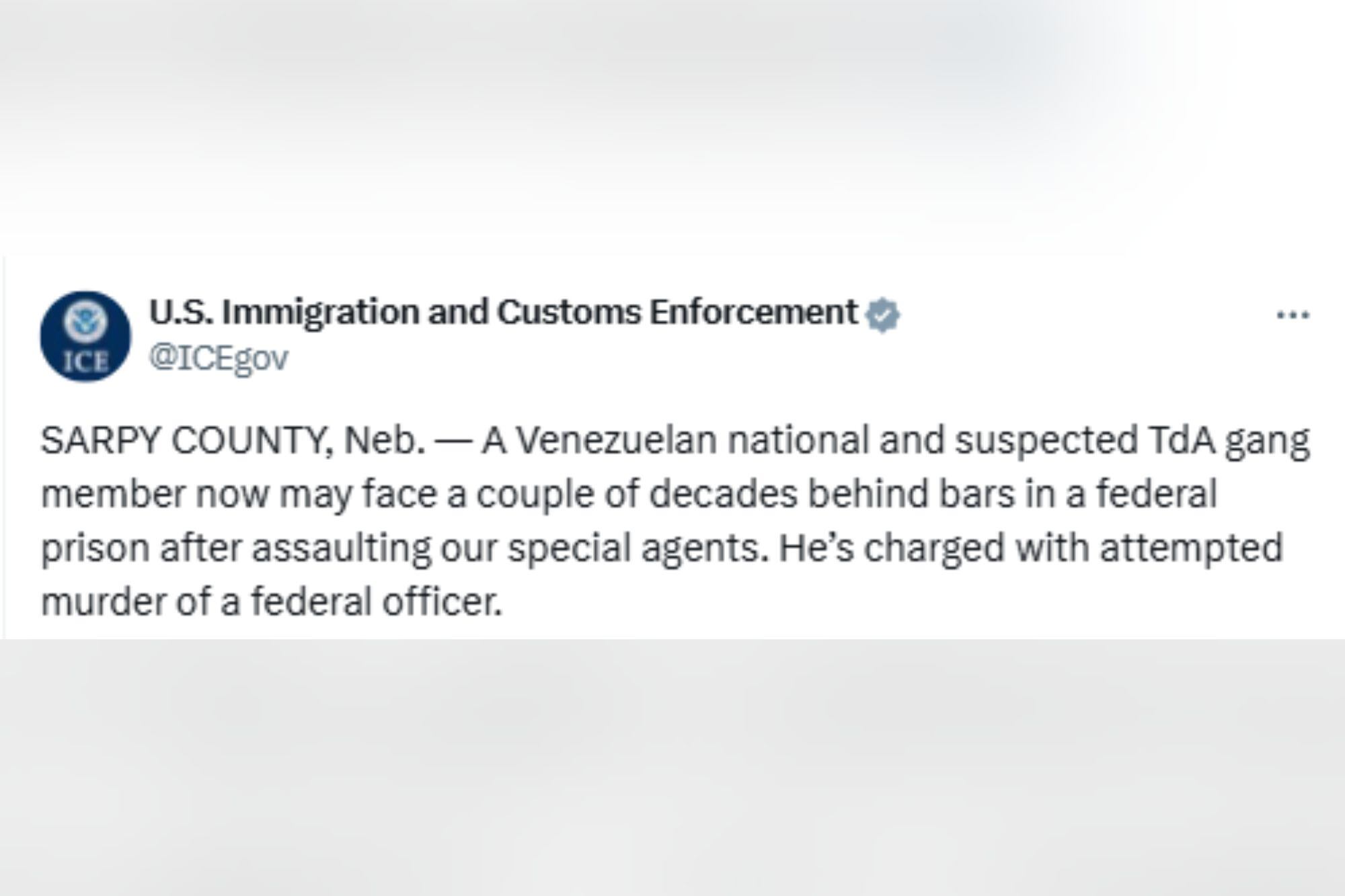El ICE detalló el operativo en el que arrestó a un migrante que agredió a un agente