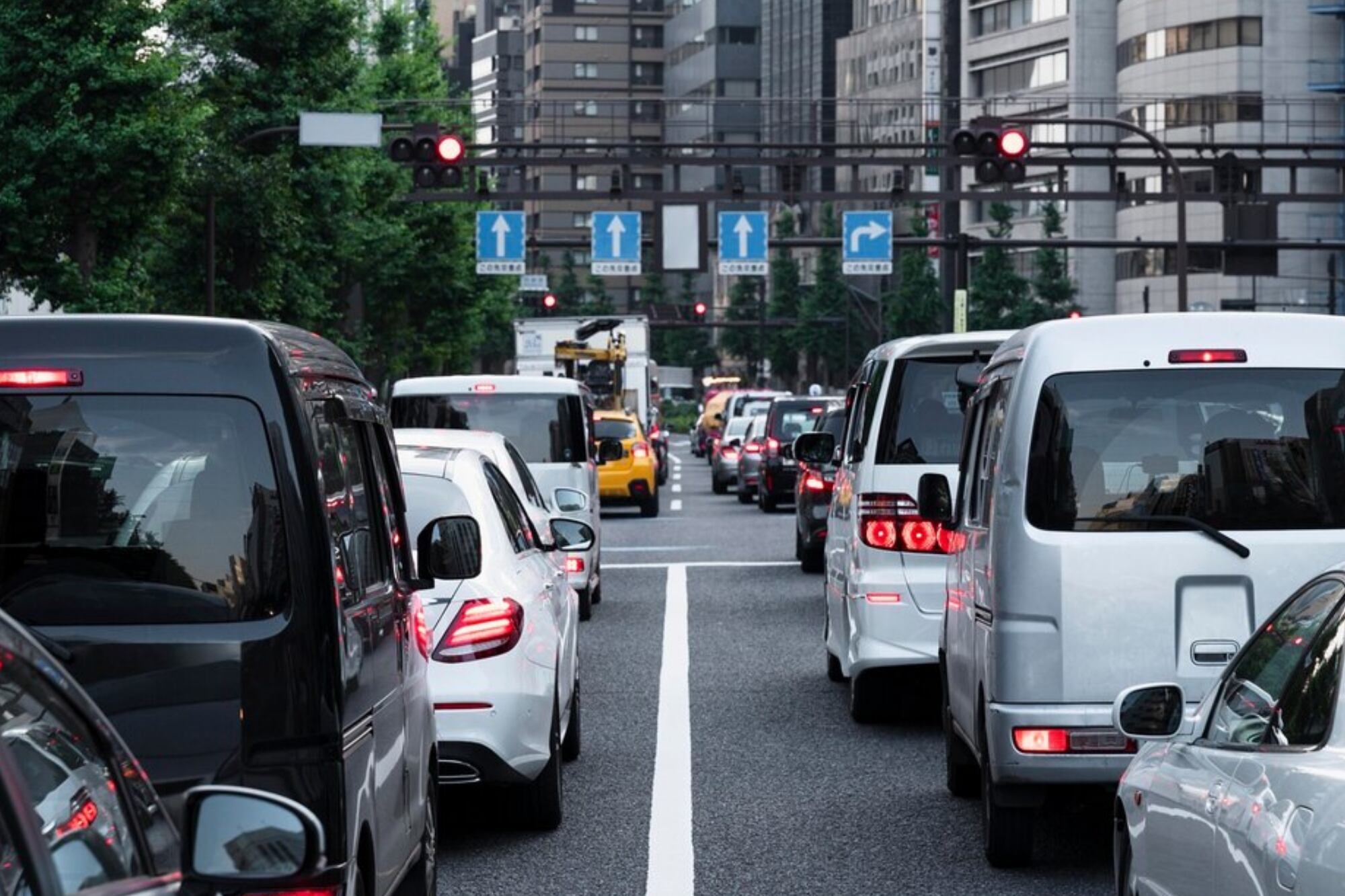 La gratitud va de la mano de la empatía y eso también se refleja en la vía pública