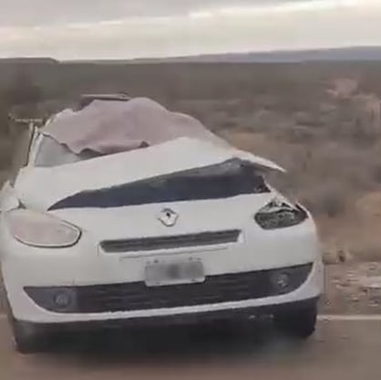 El auto dio