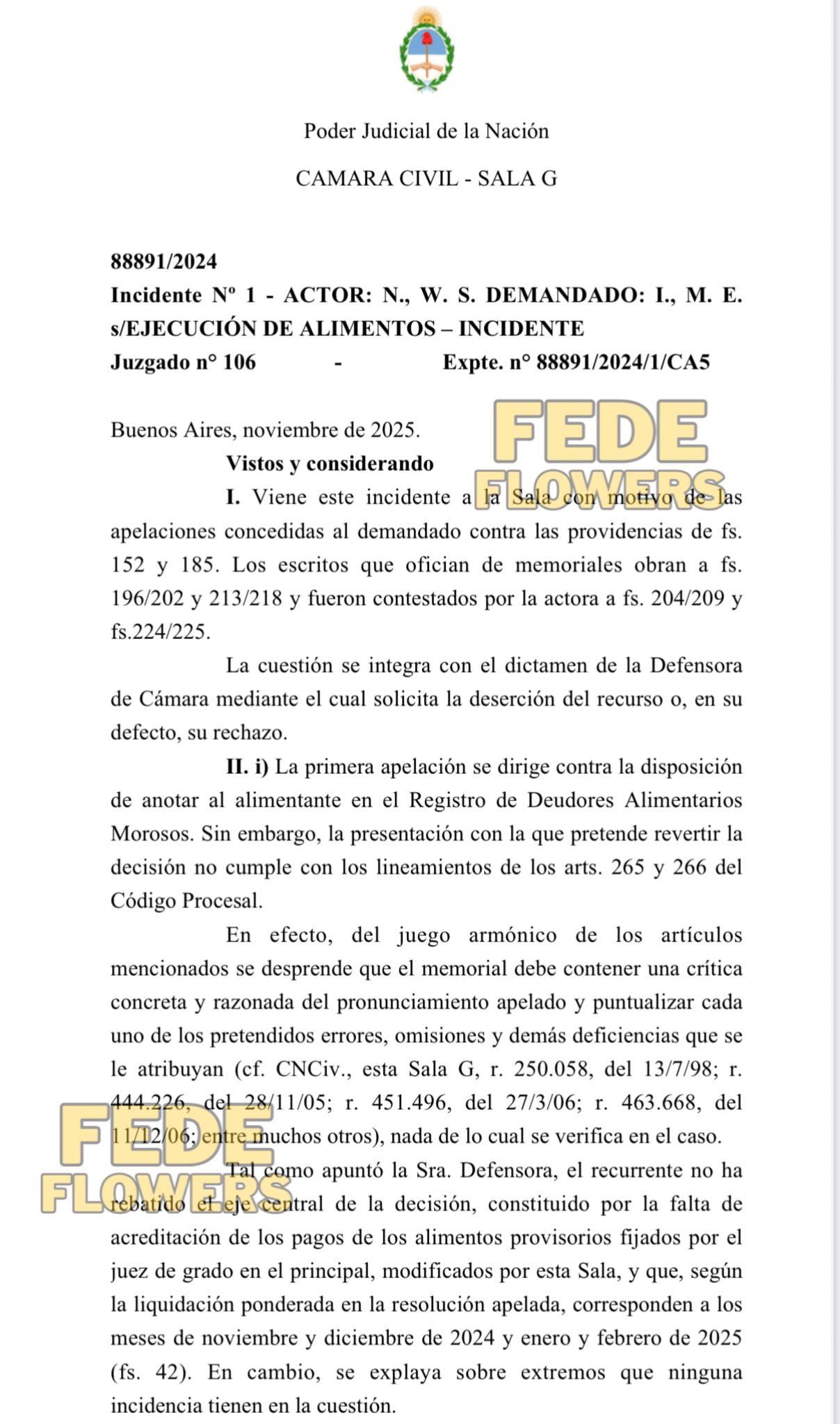El documento oficial compartido por la pantalla de DDM (América Tv), que confirma que Mauro Icardi ingresó a la lista de deudores alimentarios