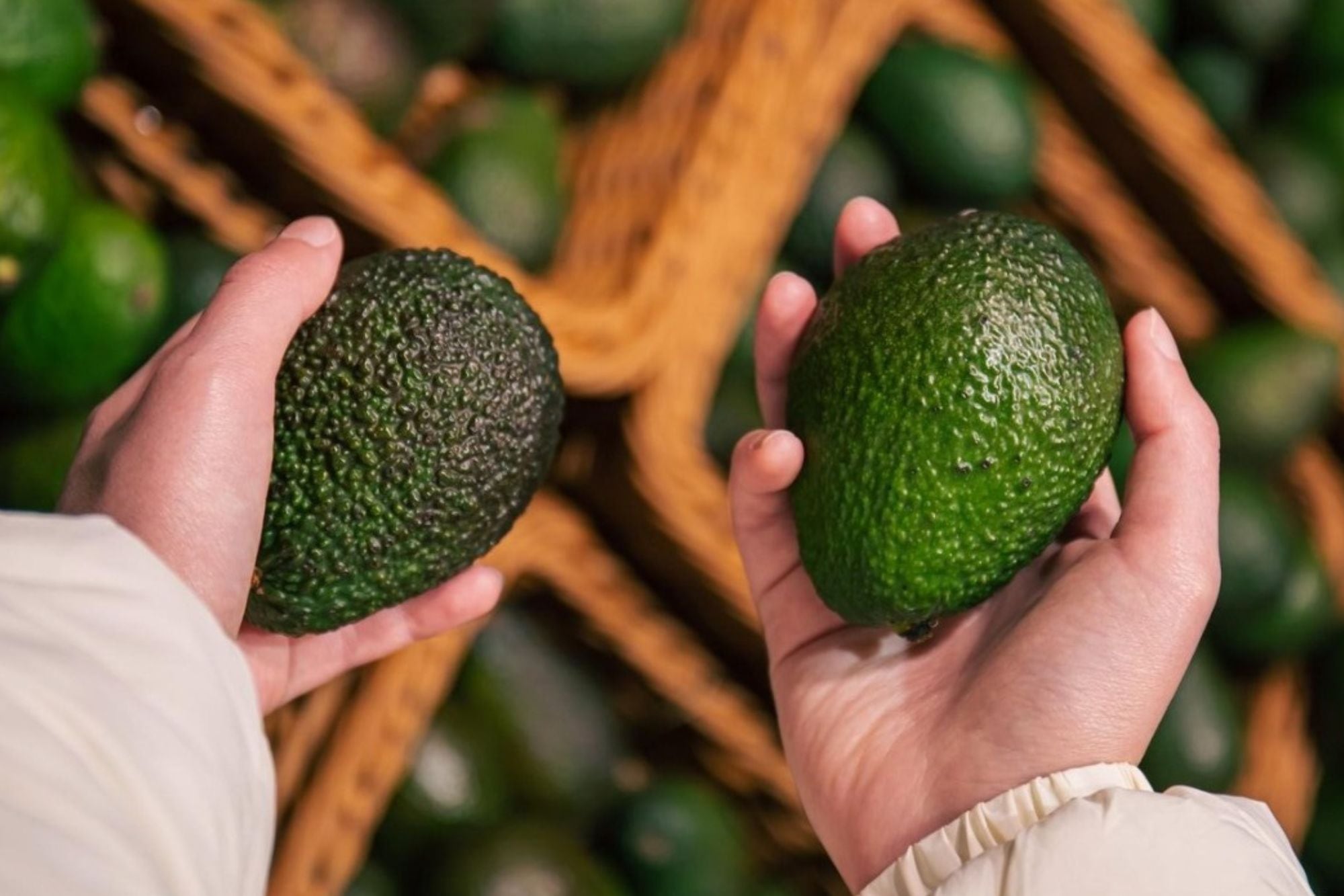 Sandra Bullock transformó las tierras en una finca agrícola productiva de aguacates