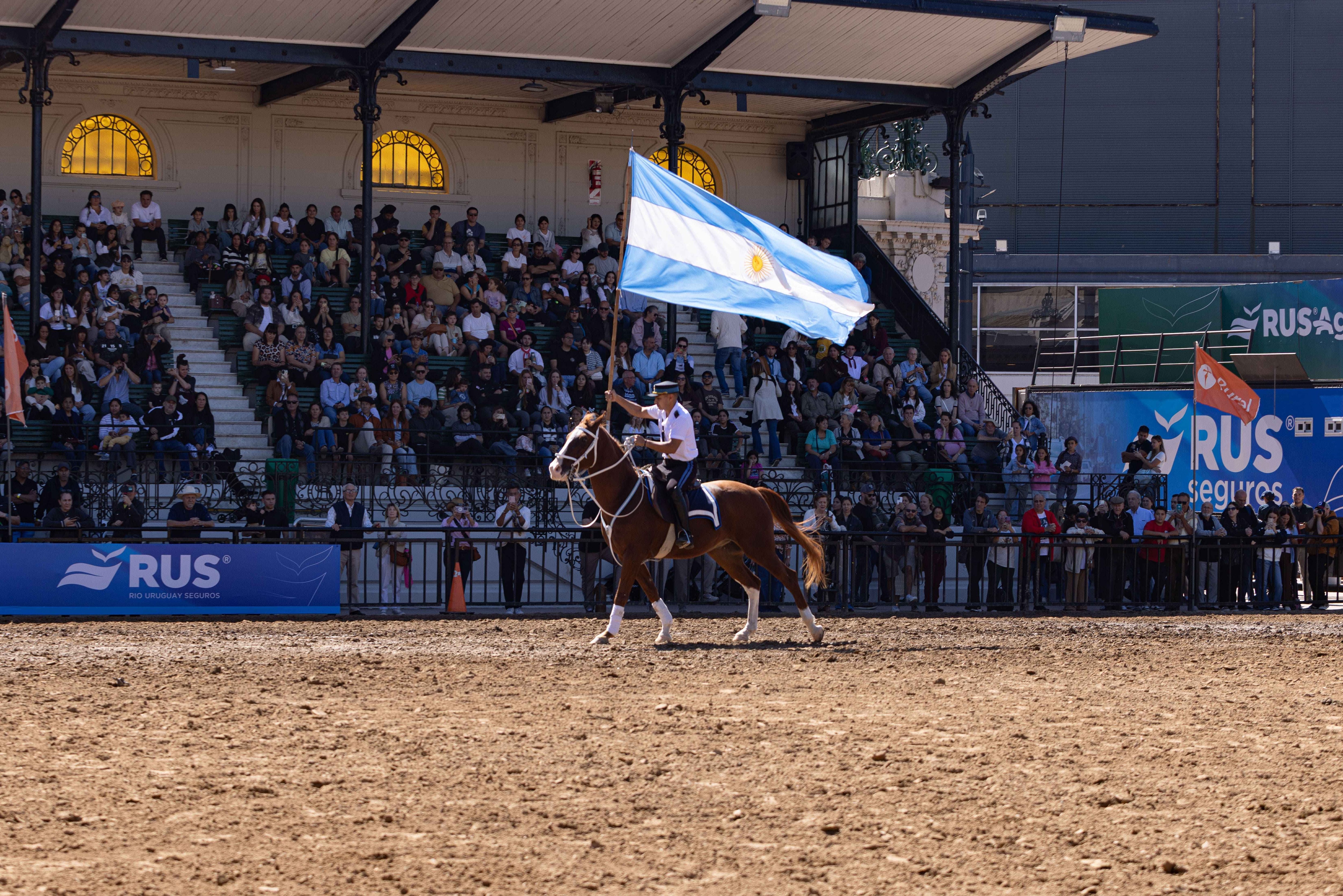 La Rural: Exposición 'Nuestros Caballos' Reúne a Más de 1000 Ejemplares