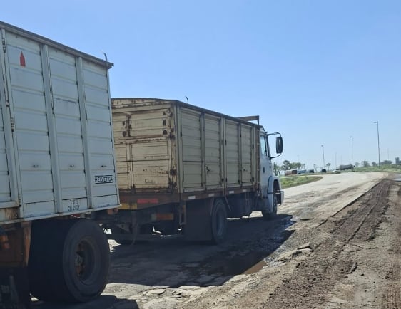 Para los productores, la obra tiene una importancia que excede a Colón: se trata de mejorar una vía utilizada para movilizar la producción hacia Rosario y reducir las dificultades que enfrentan los camiones cerealeros