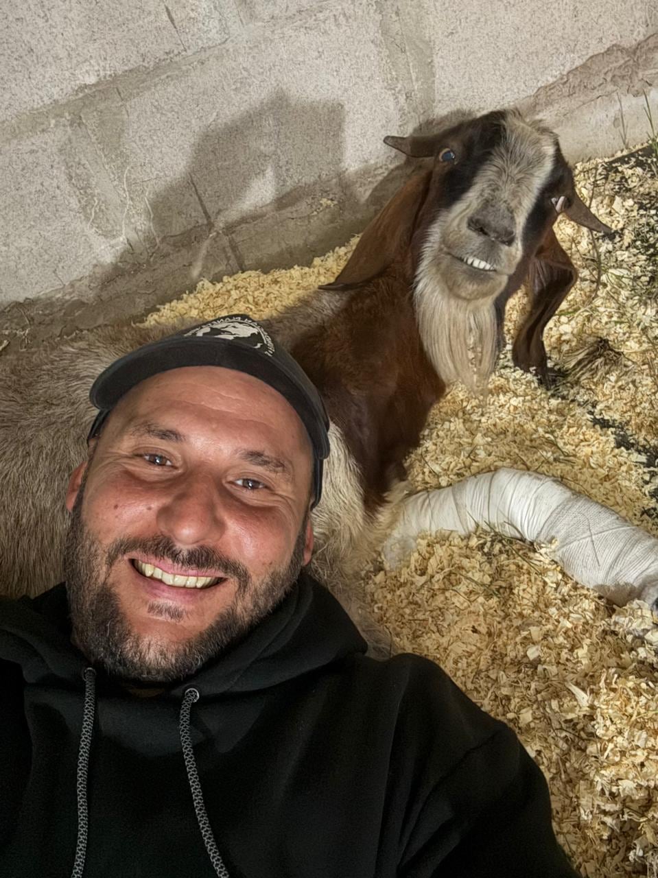 Los veterinarios dicen que podrá volver a caminar con el tratamiento (Foto: Gentileza Fernando Pieroni)