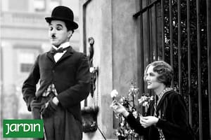 Lo que no te habías dado cuenta de estos clásicos del cine