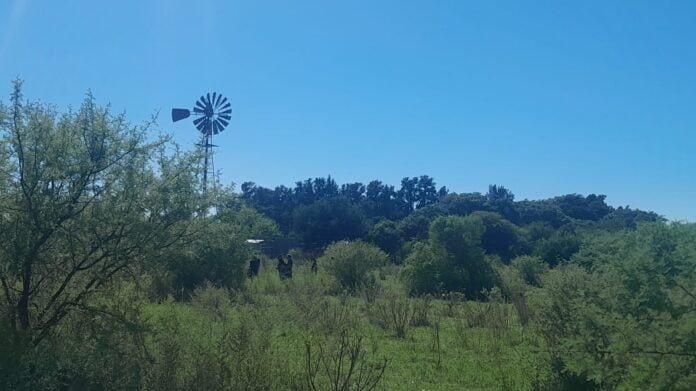 Una mujer murió al ser embestida por un toro mientras trabajaba en una granja