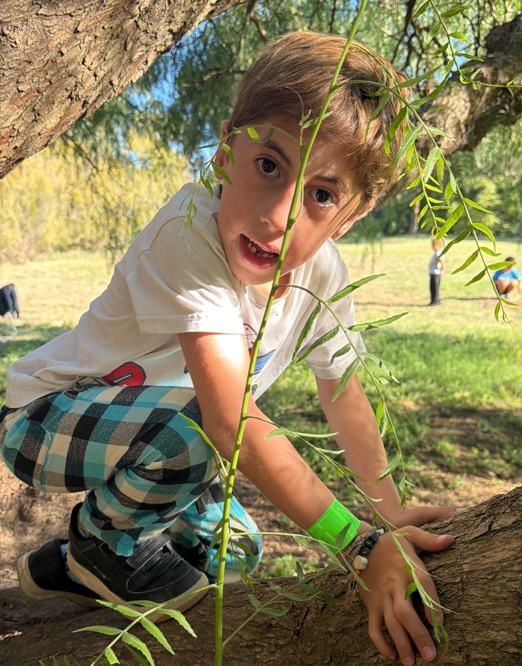 Le dieron un diagnóstico irreversible pero lucharon y su hijo logró avances extraordinarios: “No va a caminar, no va a hablar, no va a comer” 9 Su mamá cuenta que Milo es un niño sano y feliz que vive su vida sin ningún tipo de limitación y disfruta plenamente de su infancia.