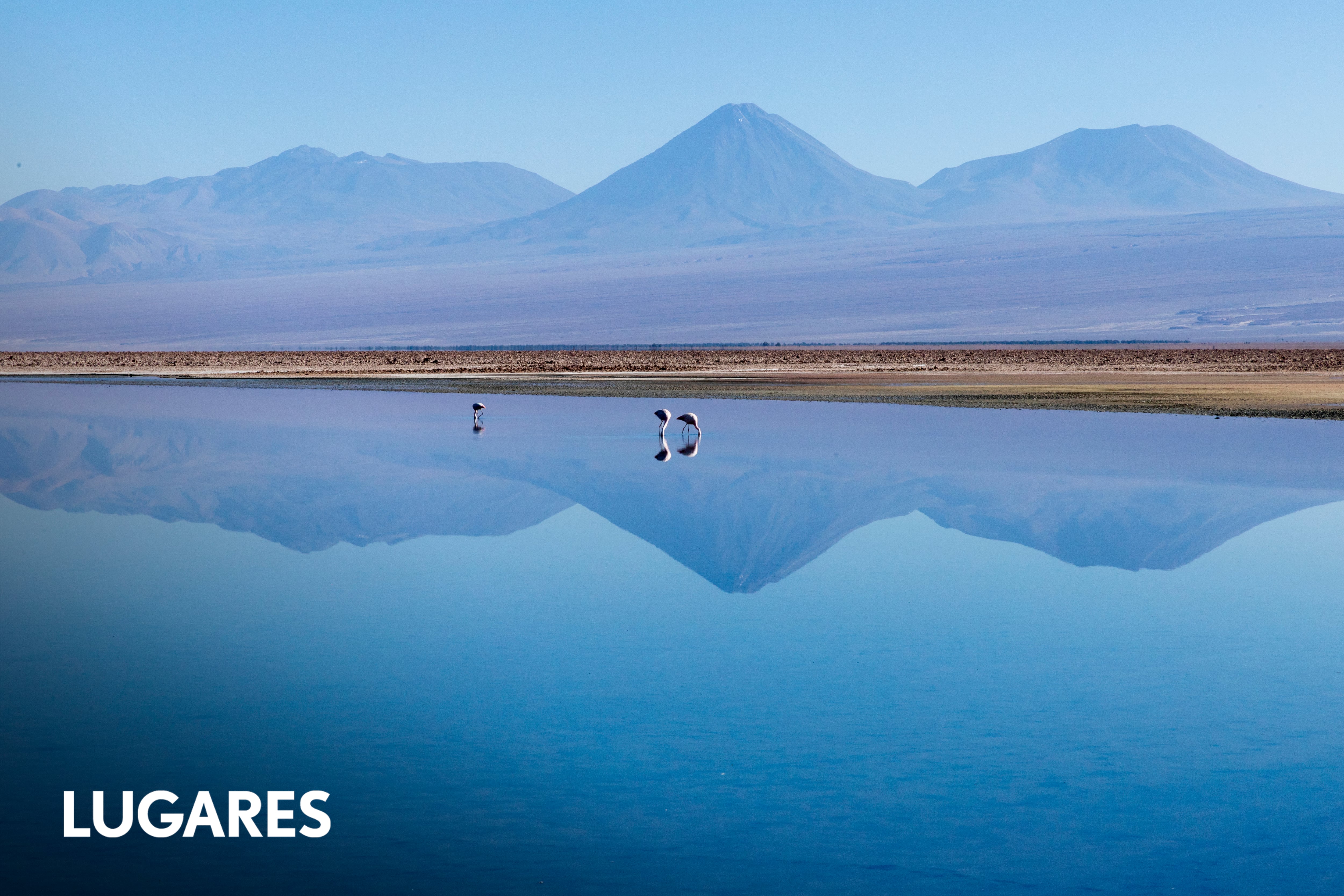 De Jujuy a Atacama en auto: cómo es cruzar la ruta del desierto a 4.200 metros de altura