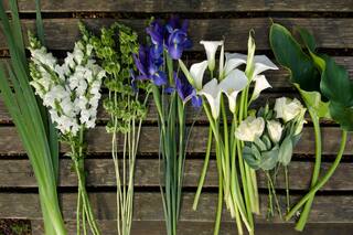 Paso a paso: 3 arreglos con flores de invierno para decorar la casa