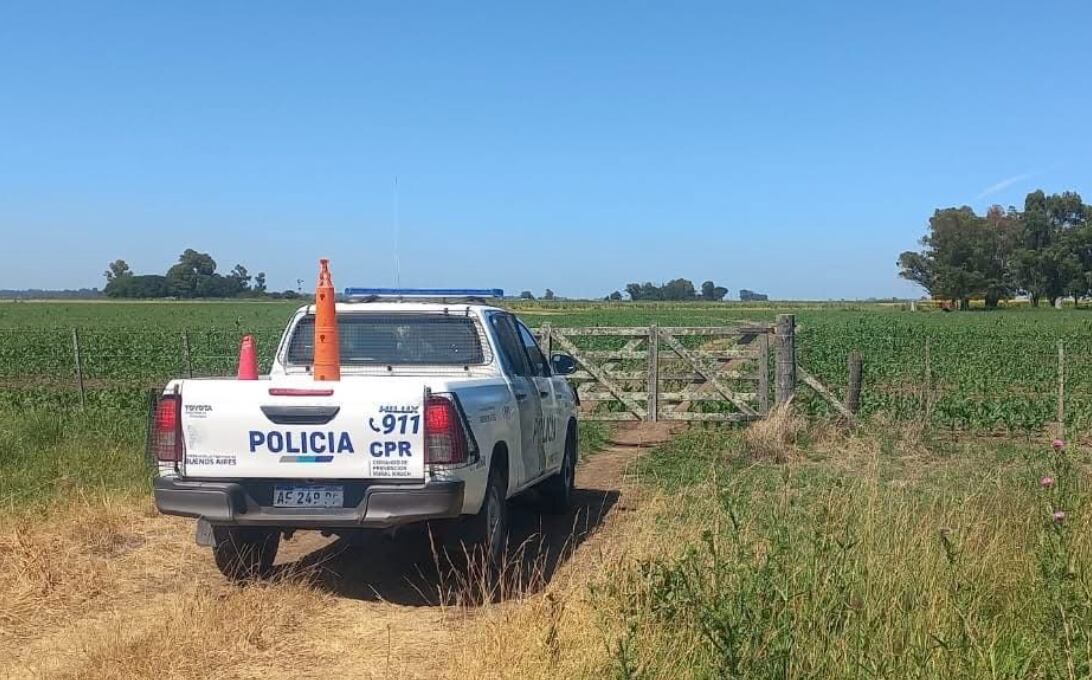 Le robaron 52 terneros valuados en unos US$50.000 y hay un dato que no logra explicar