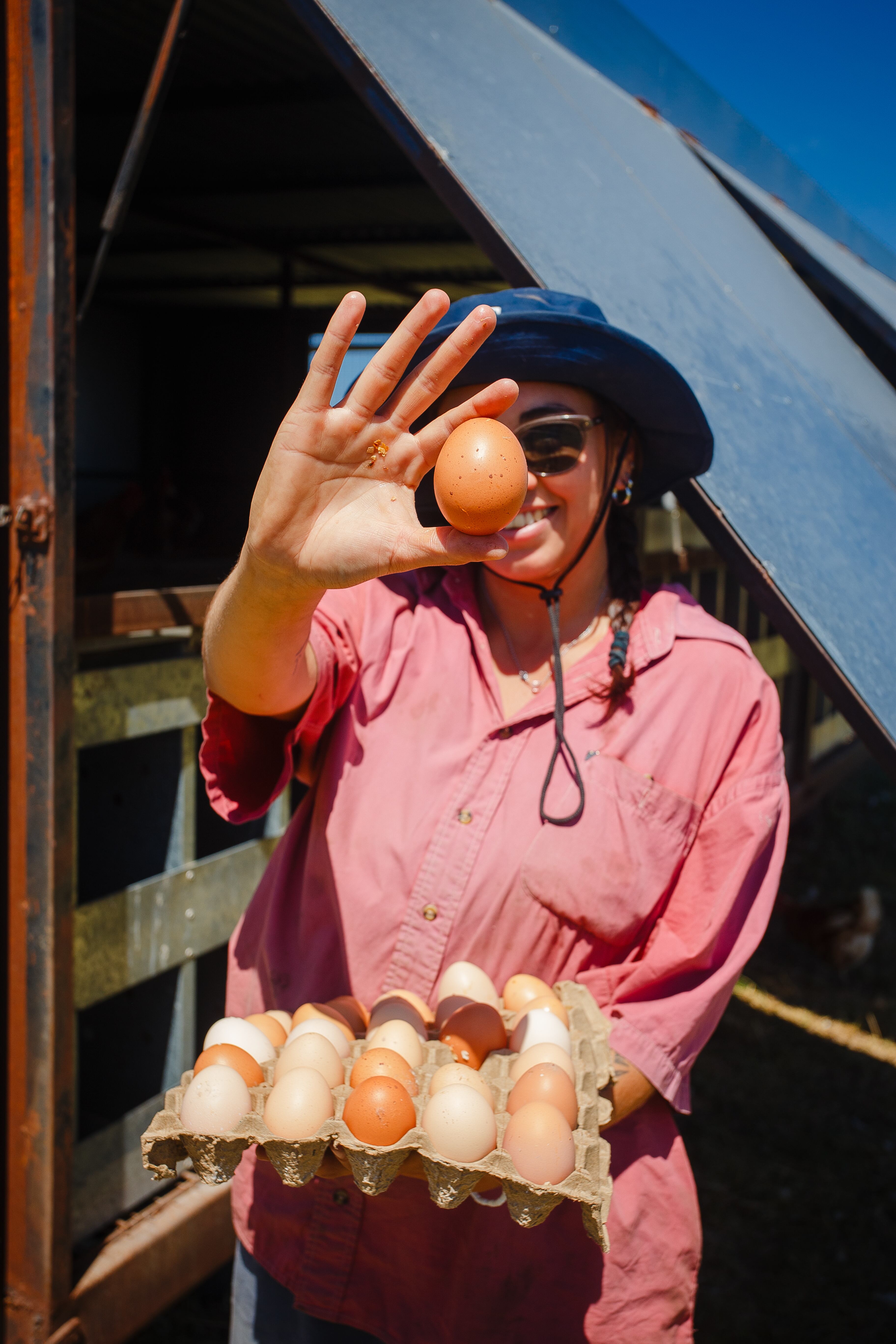 Agostina recolectando huevos frescos.