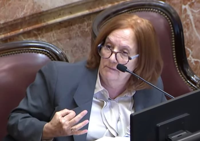 La legisladora tildó el proyecto de ley de