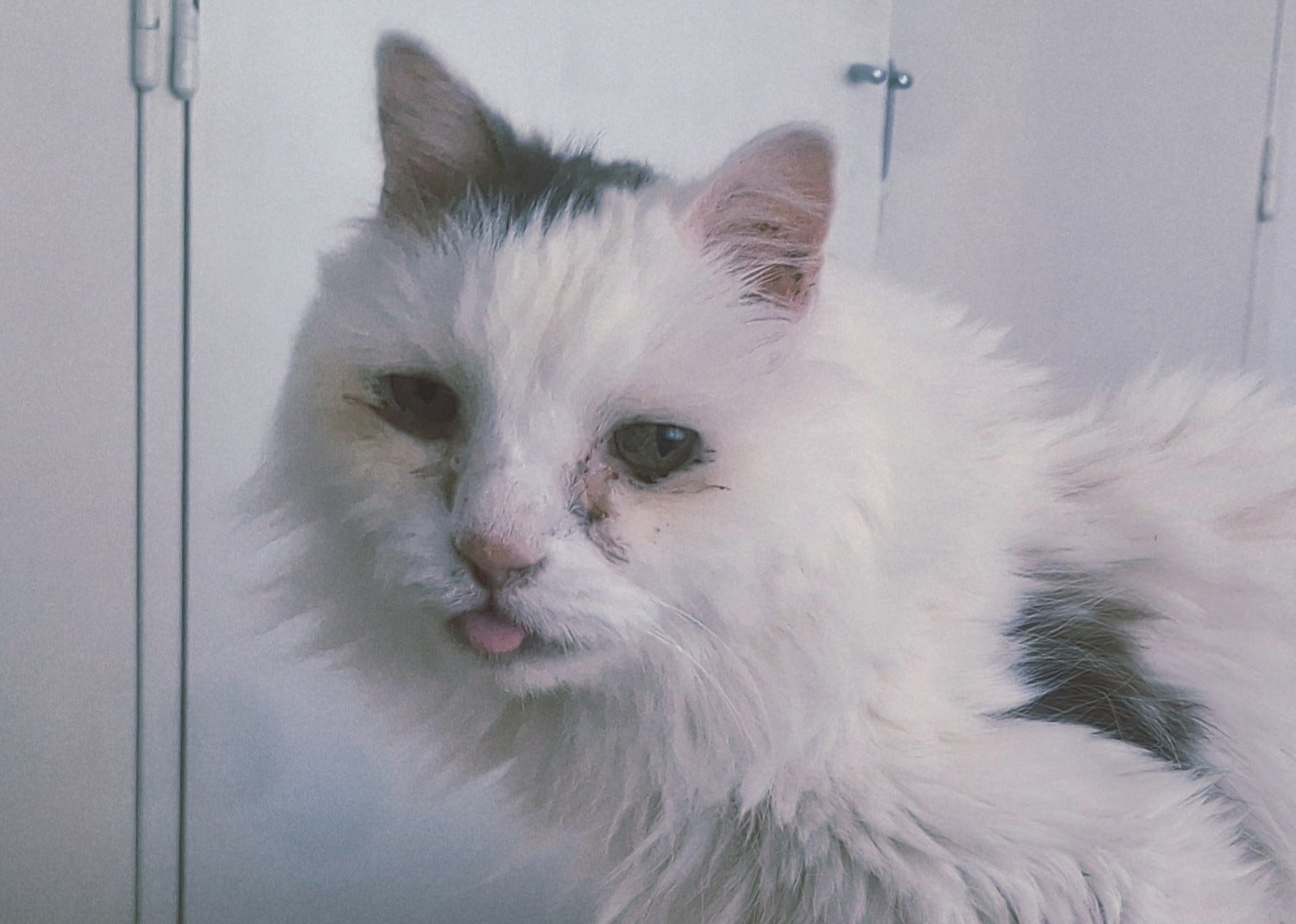 Si existe, nos vemos ahí