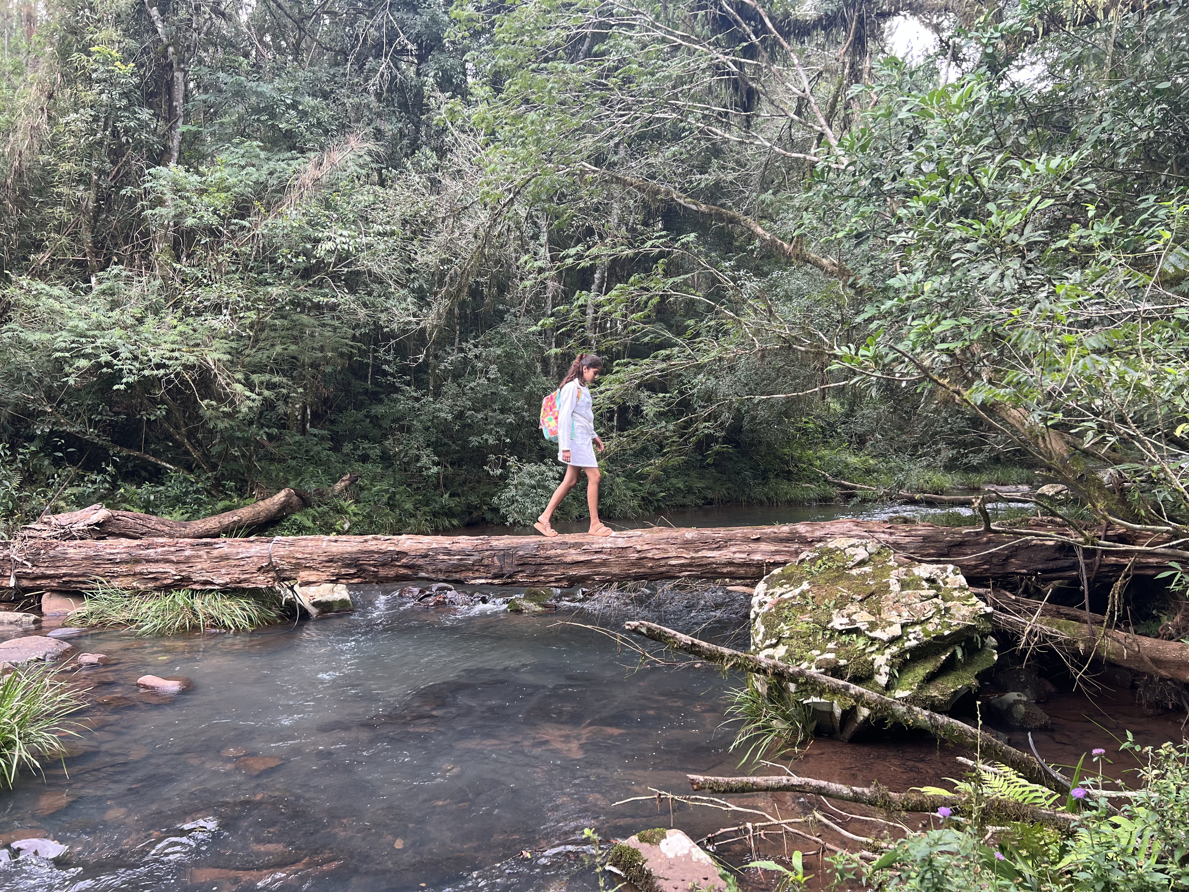 Vive en un rincón perdido de la selva: sueña con ser médica, pero las distancias amenazan con dejarla sin secundaria