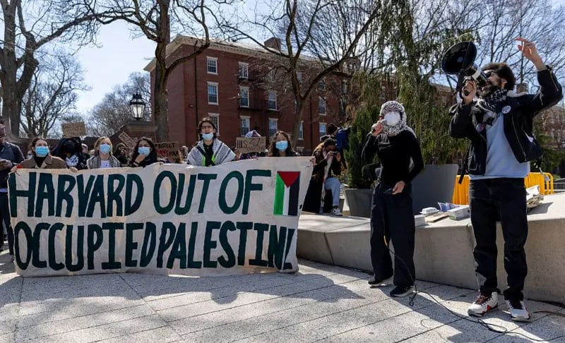 Las protestas pro palestinas en Harvard han sido una constante desde 2023