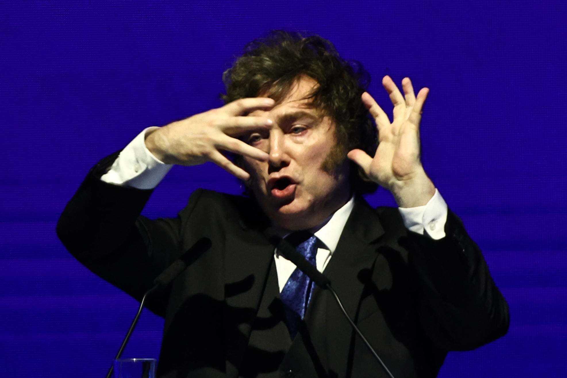 Javier Milei en el cierre de ExpoEFI
