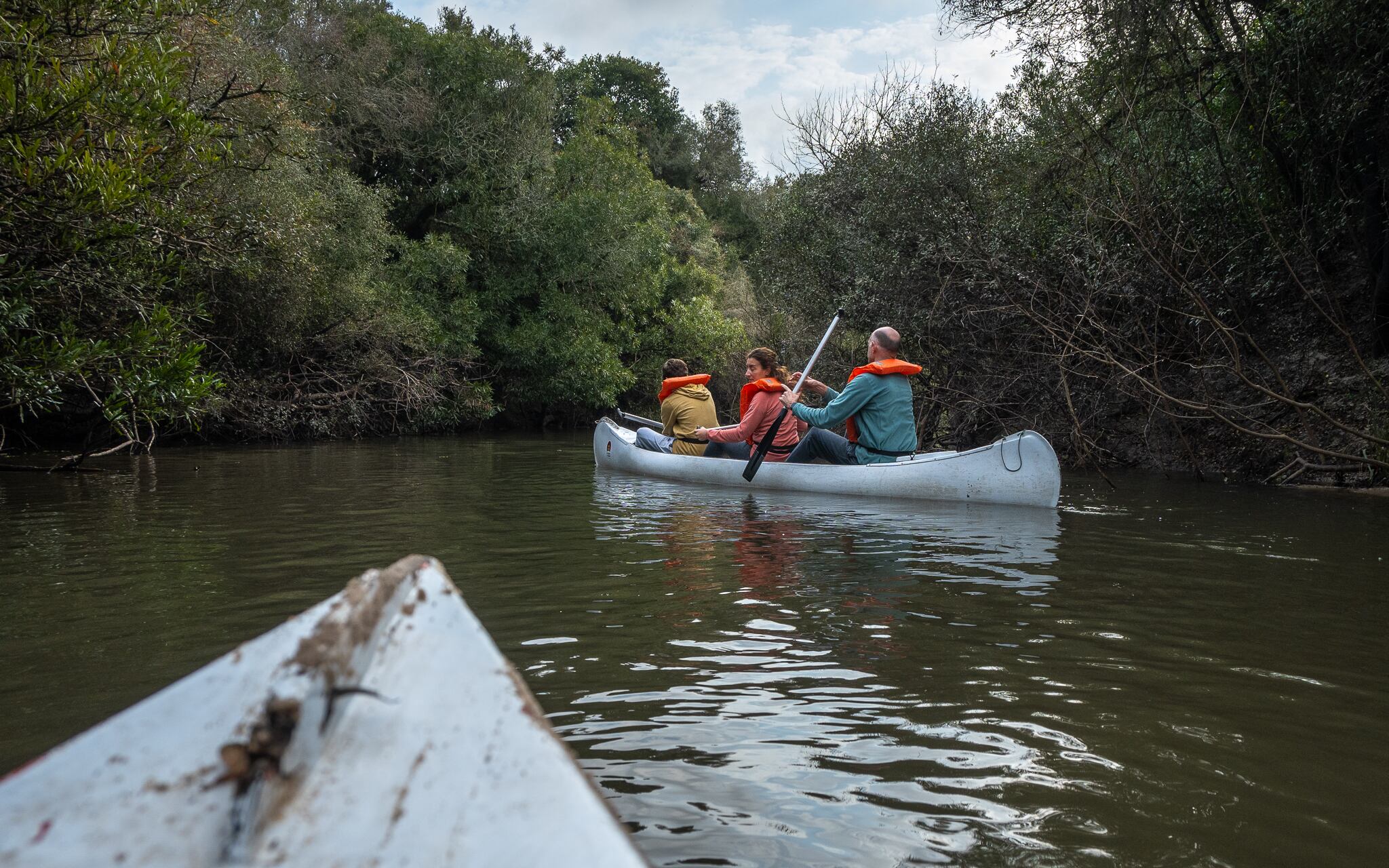 Paseo en kayak por un arroyo del parque.