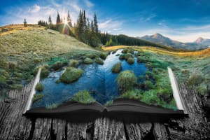 Cli-Fi. Libros que pueden ayudar  a solucionar la crisis ambiental