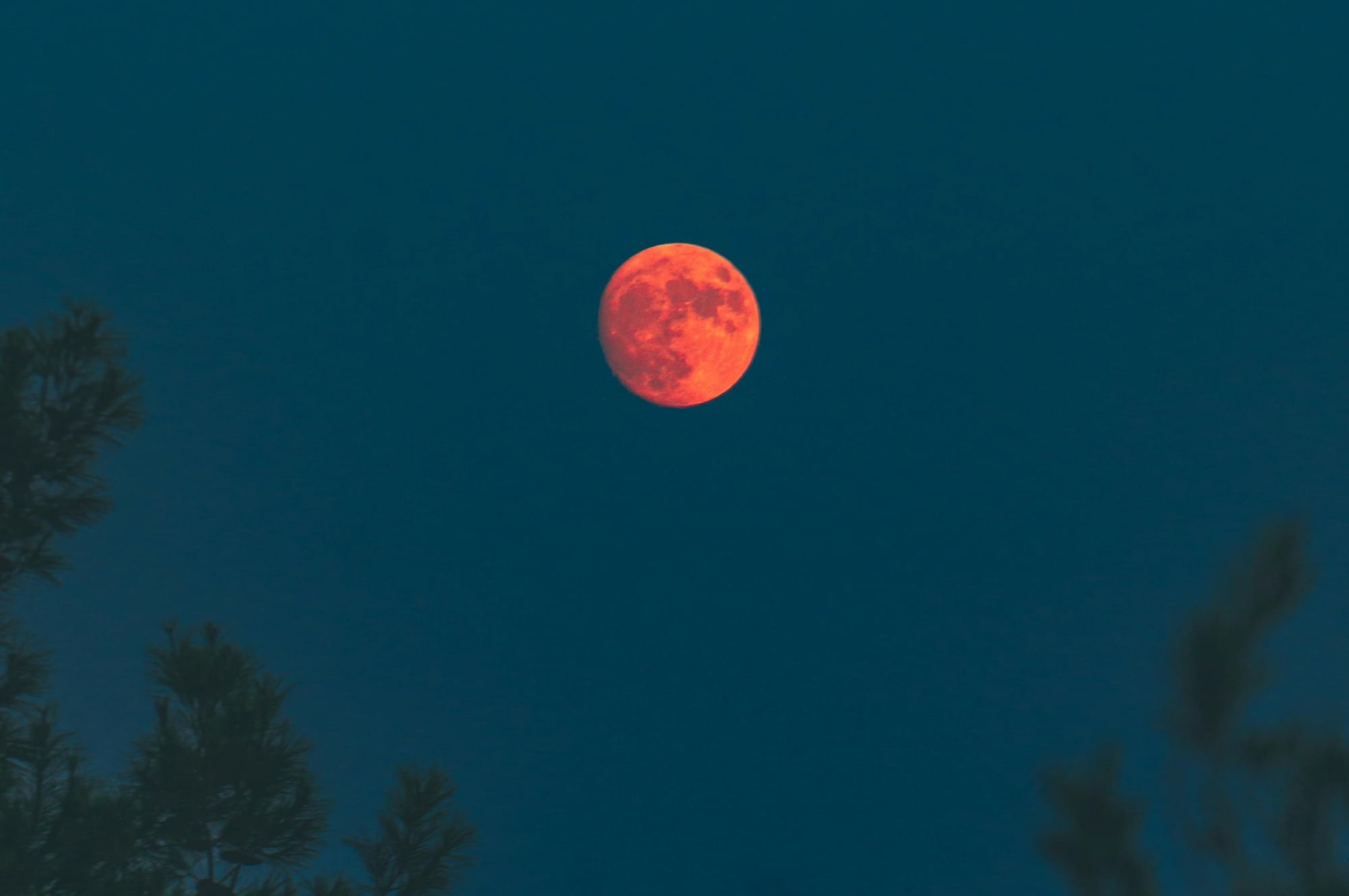 A qué hora se puede ver la