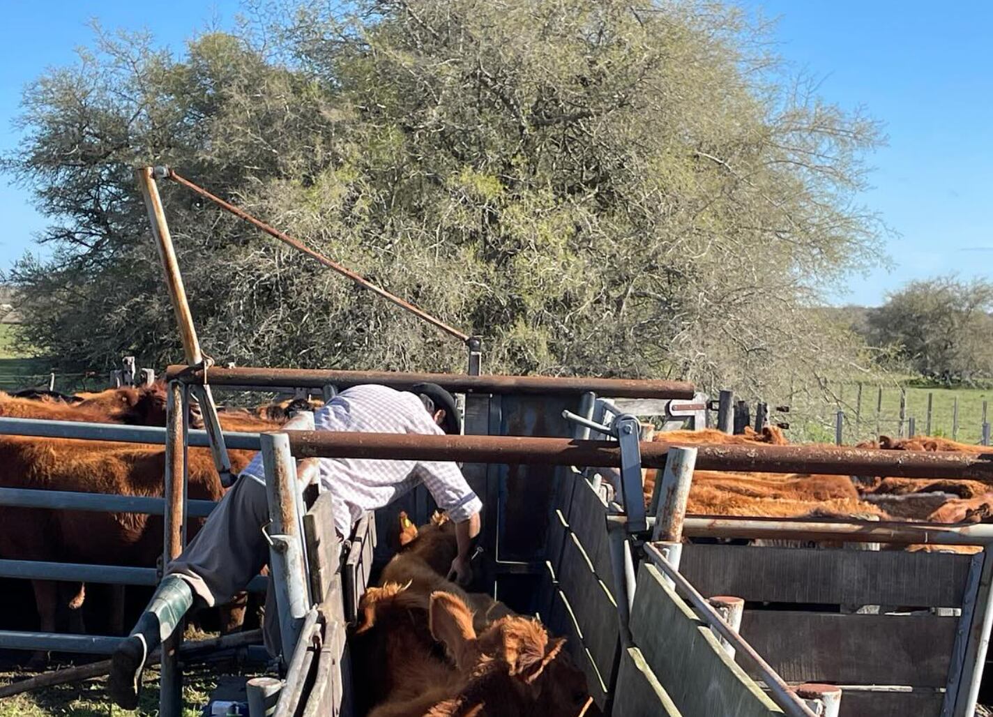 “Siempre fue un dólar y los laboratorios decían que los costos argentinos encarecían el producto pero hoy no hay inflación