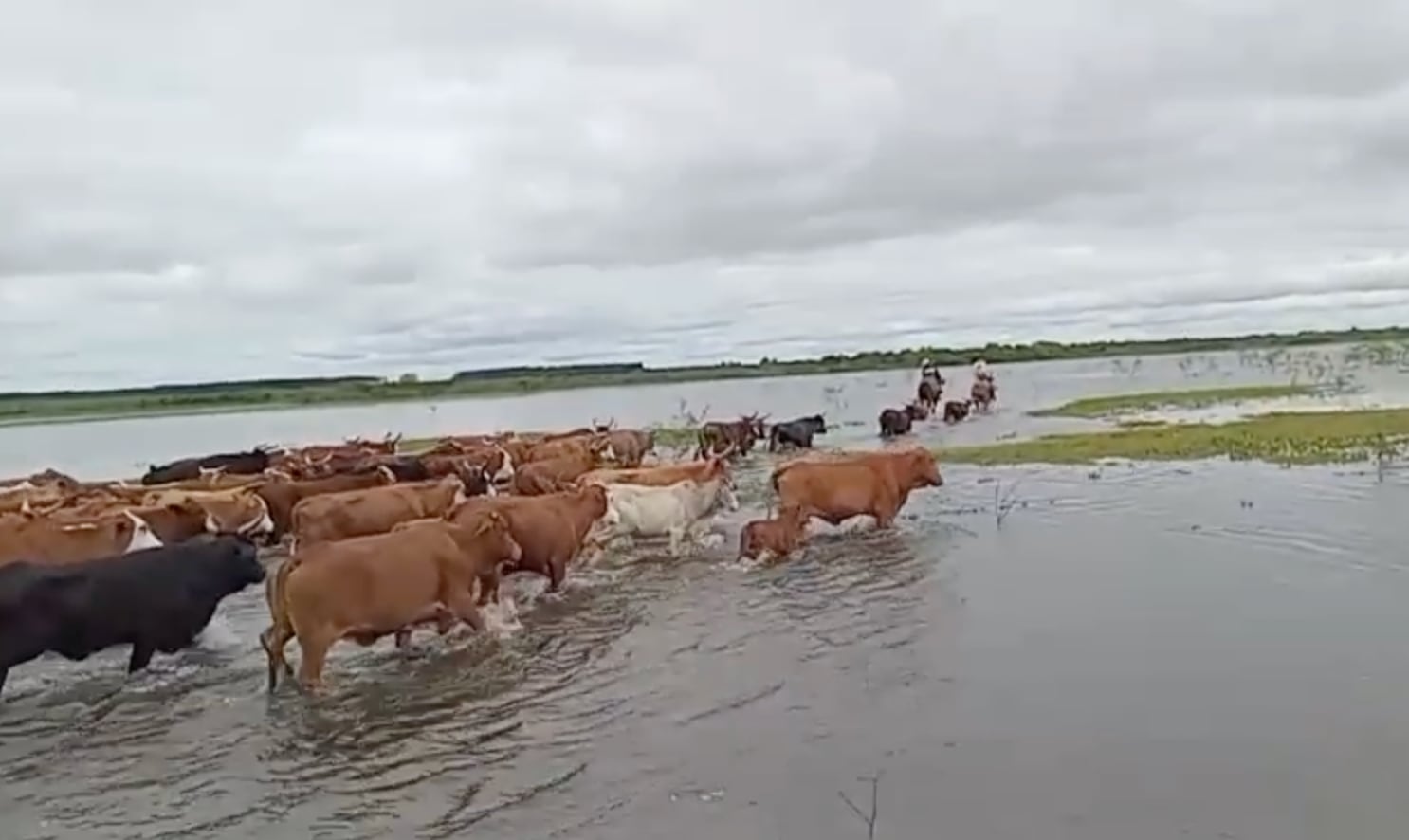 El Niño: en un mes aumentó un 53,4% la superficie con agua en Corrientes