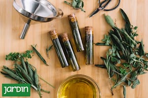 Cuatro aromáticas suaves que transforman tu estado de ánimo en invierno