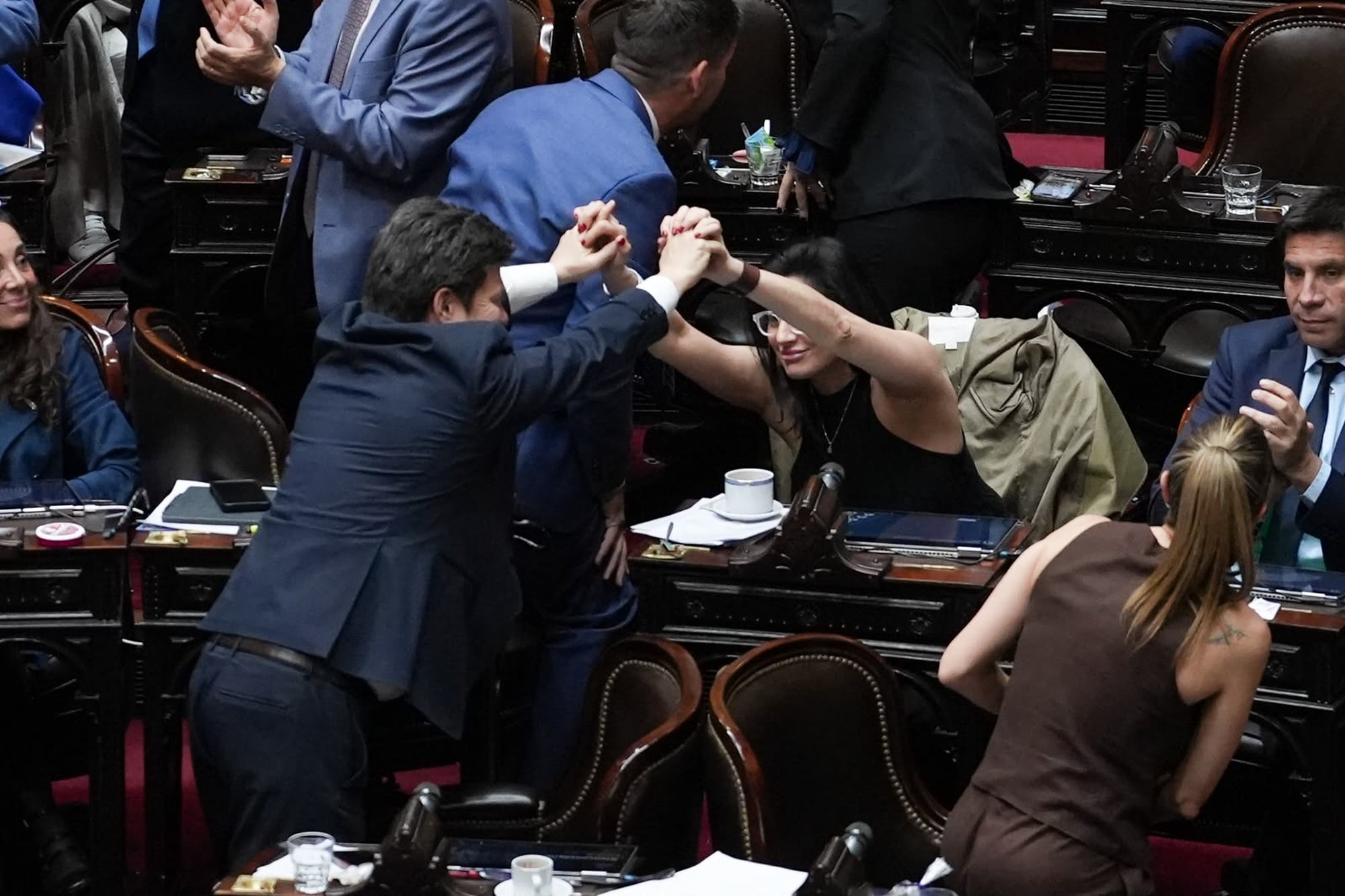Festejos por la votación de la ley de discapacidad en el Congreso