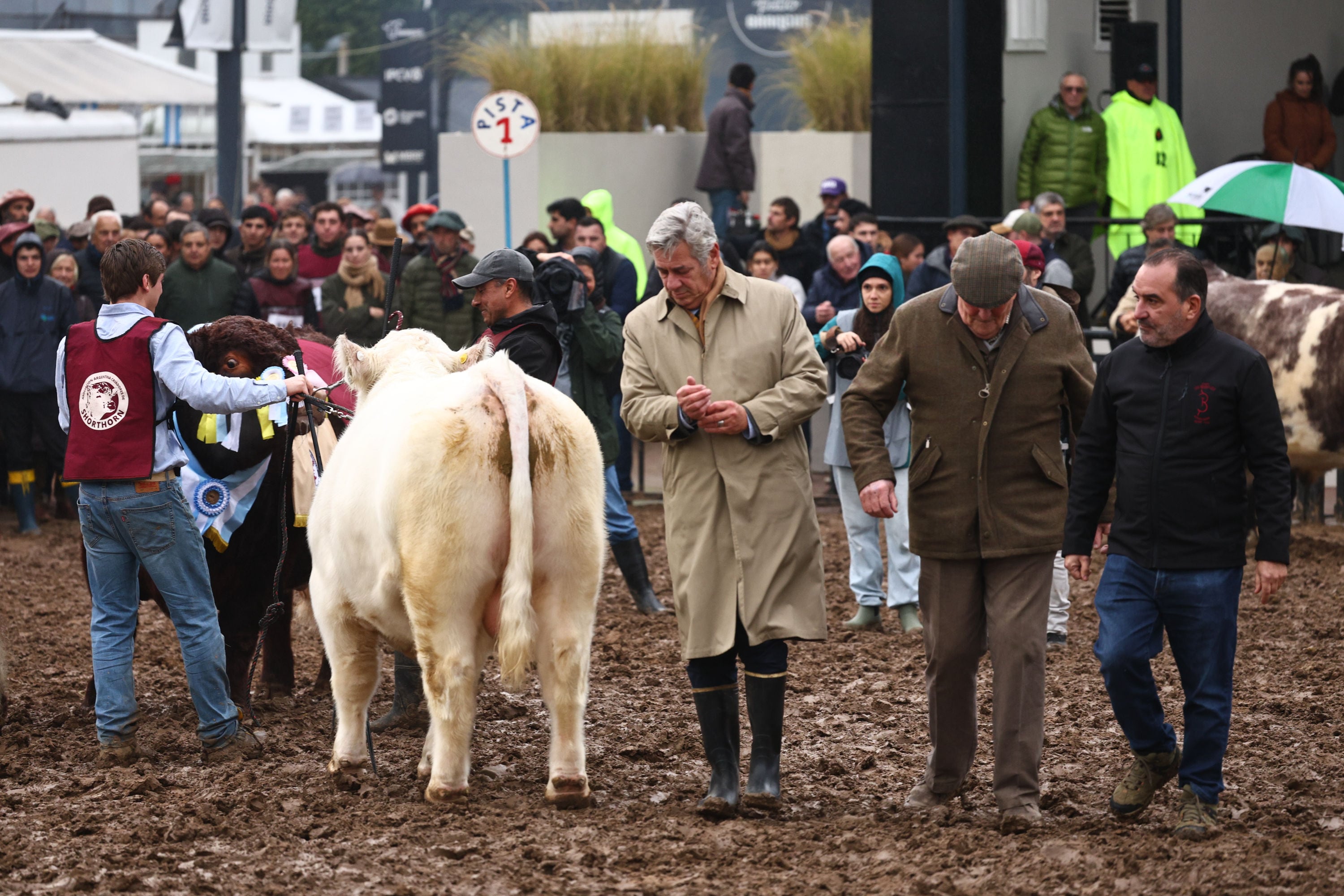 El presidente Nicolás Pino en la pista central de la Rural