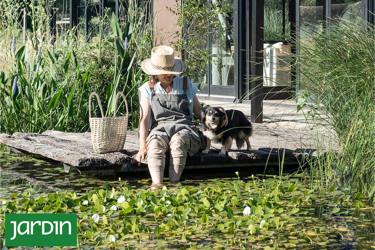 De Floristería a Oasis Natural: La Transformación de una Vida en el Paisajismo Sostenible