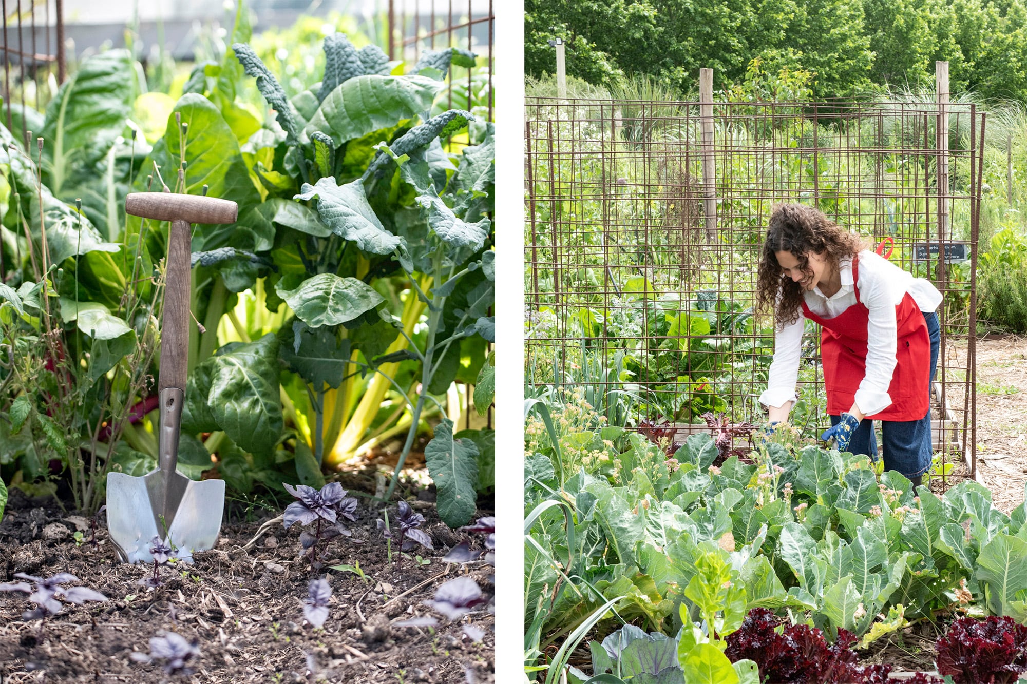 Es momento de limpiar y reorganizar la huerta