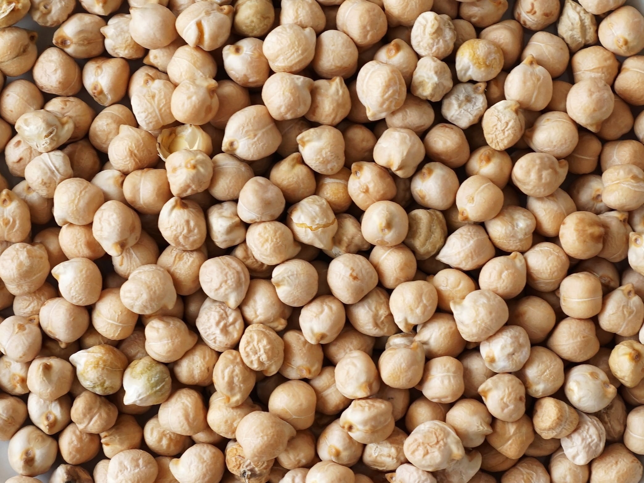 “Altamente positivo”: hubo un contacto clave en Agricultura para destrabar millonarias multas a productores