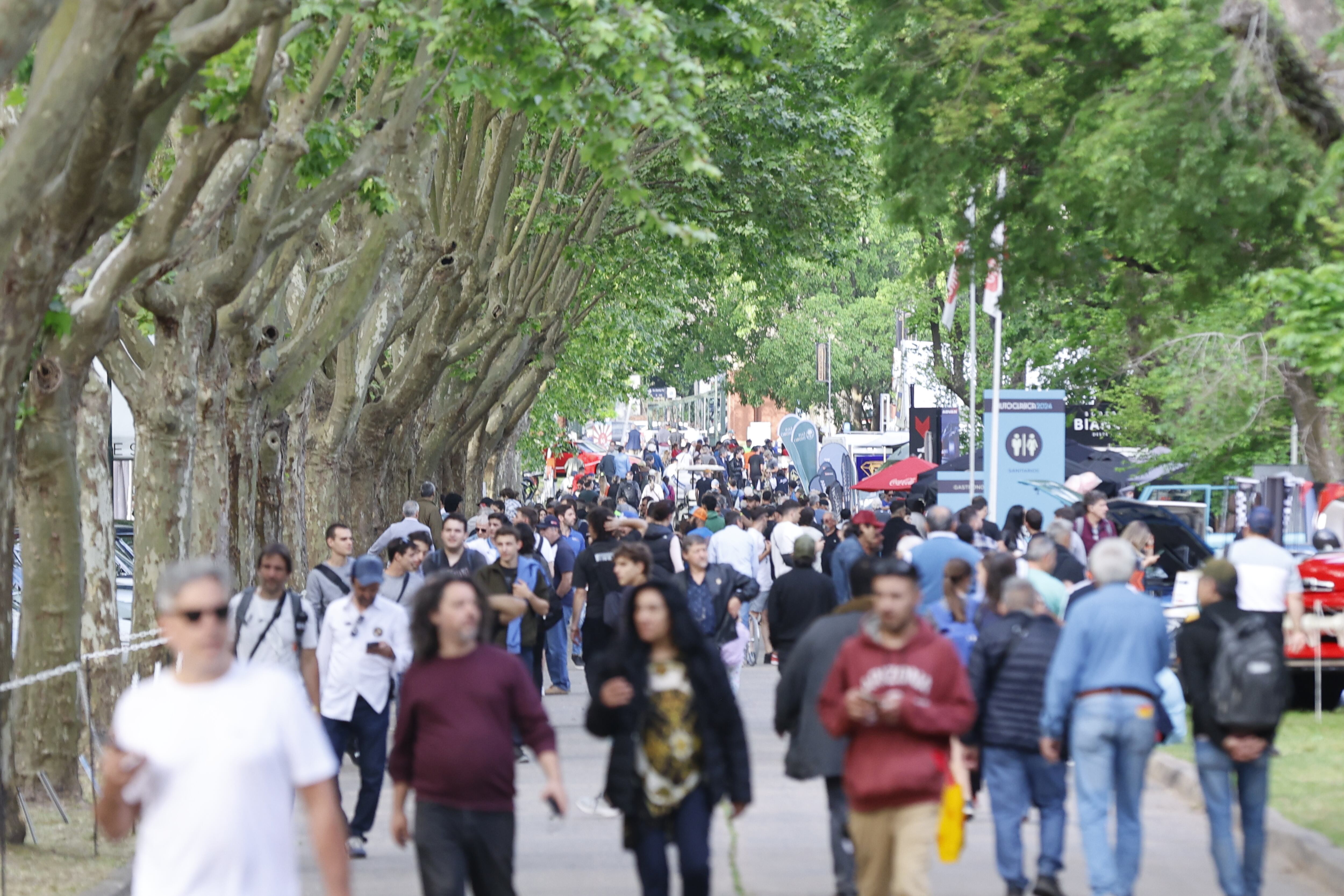 Qué se podrá ver en Autoclásica 2025