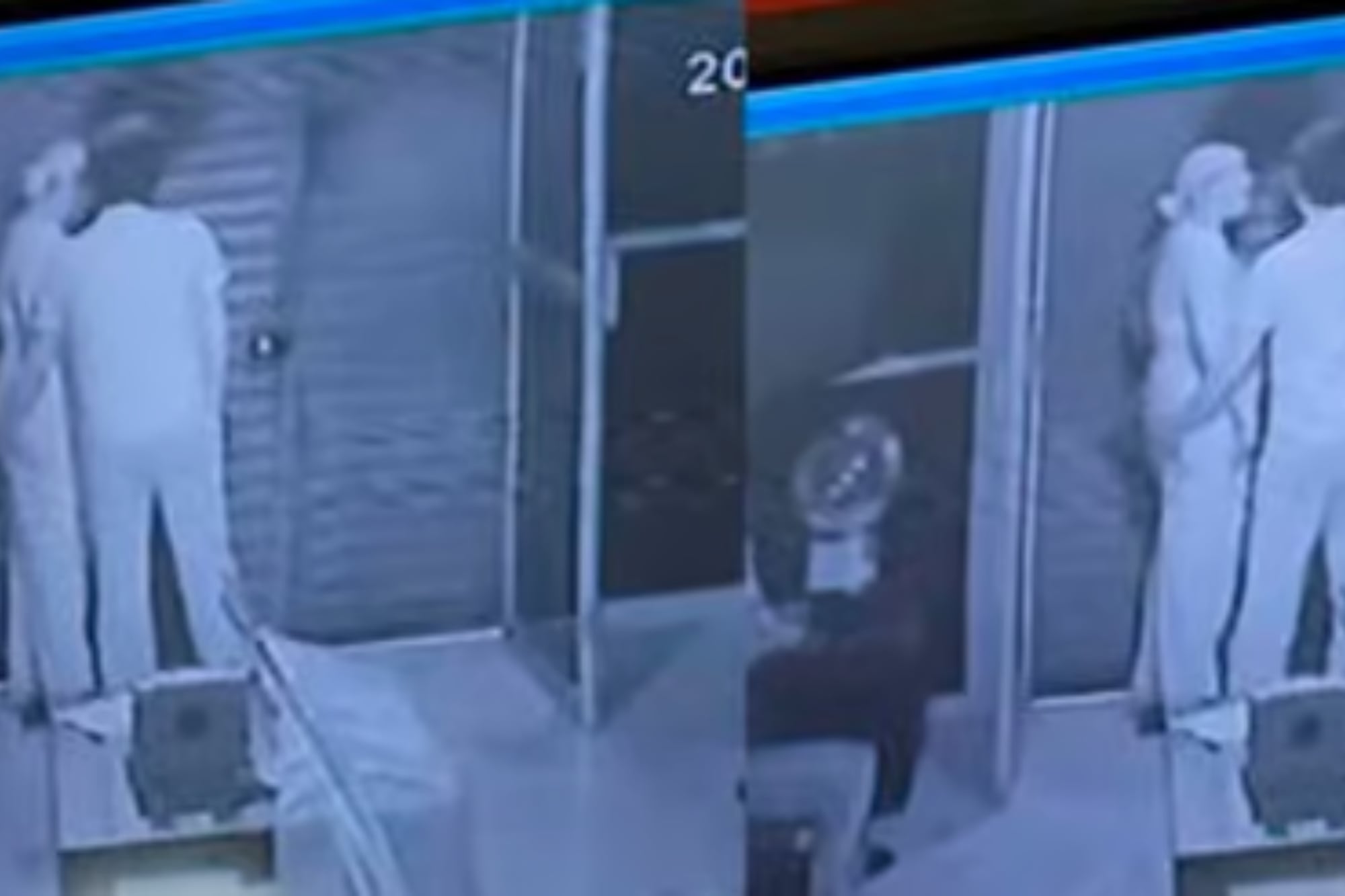 La mujer revisó las cámaras de seguridad de su casa y se llevó la peor sorpresa (Captura video)