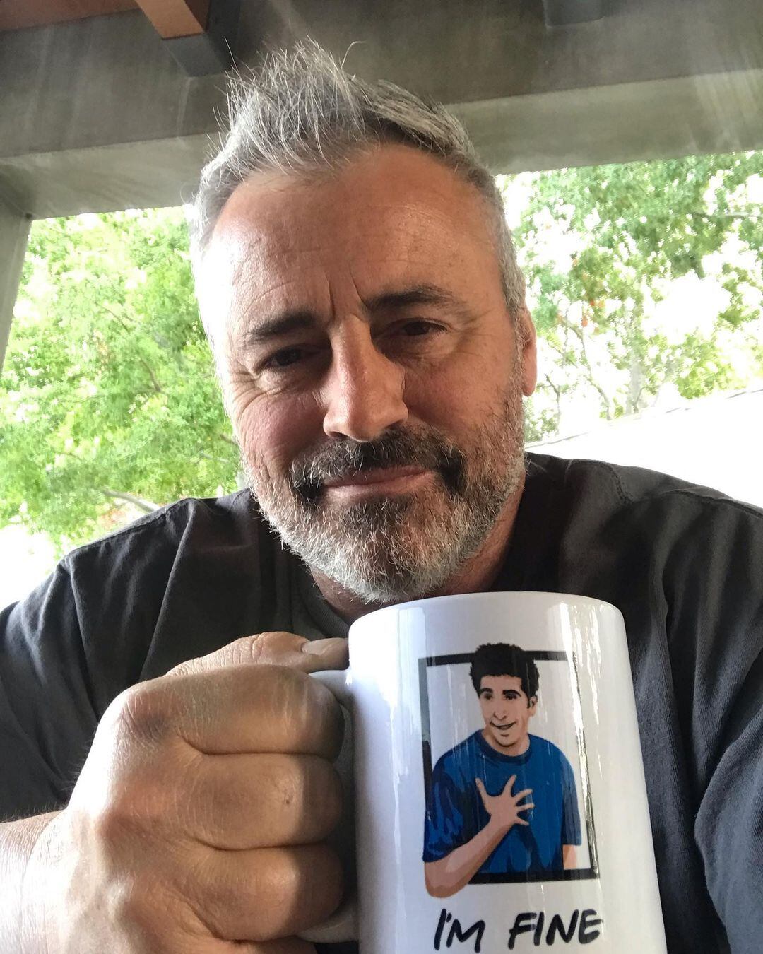 Despúes del spin-off, protagonizó las series Episodes y Man with a Plan (Foto: Instagram @mleblanc)