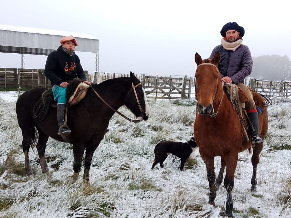 La nieve sorprendió al campo en un momento decisivo